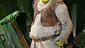 Brian d'Arcy James as Shrek in Shrek the Musical.