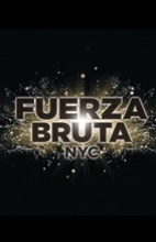 Fuerza Bruta: Look Up 