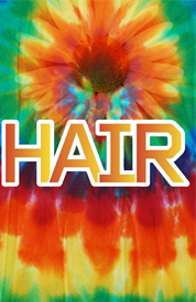 Poster for Hair