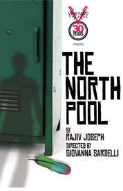 Poster for The North Pool